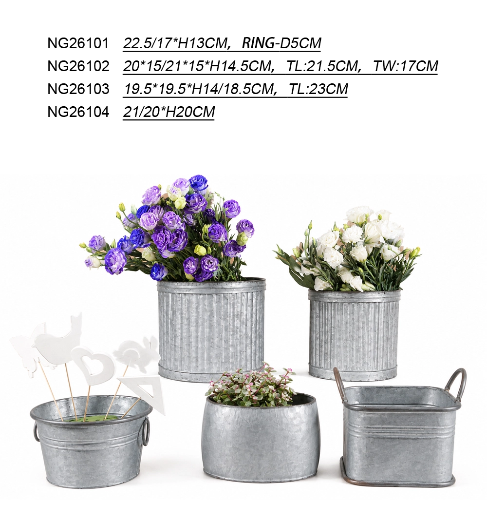 NG26101-NG26104