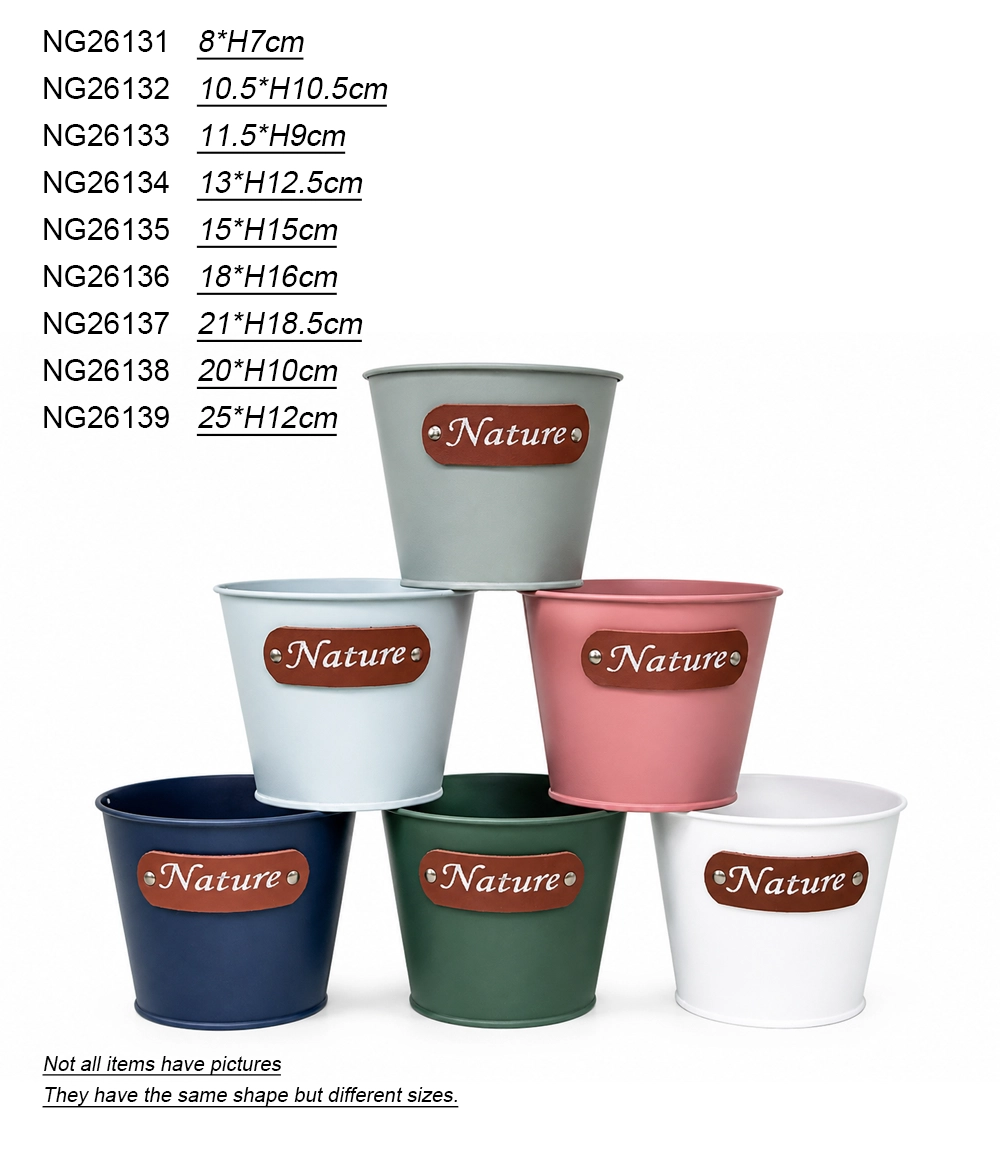 NG26131-NG26139